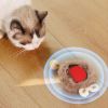 Interactive cat toy for indoor cats